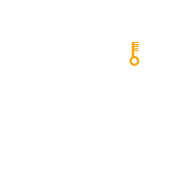 Инесса Бирман-Высоцкая