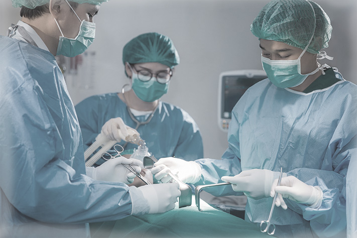 Благотворительный фонд поможи животных, помощь животным, взять кошку из приюта, взять собаку из приюта