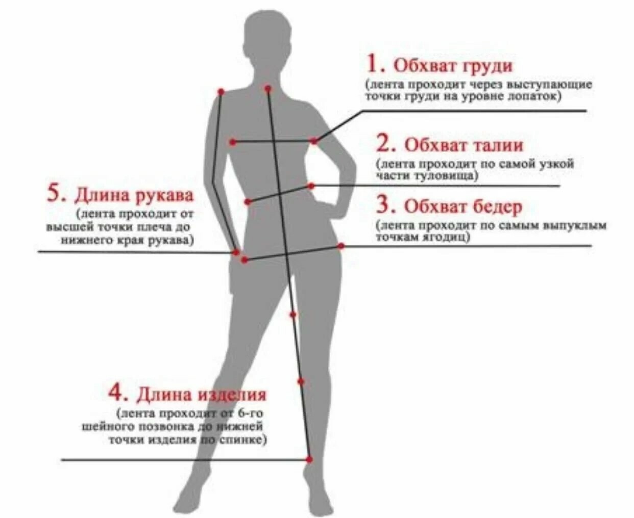 Фото замеры одежды