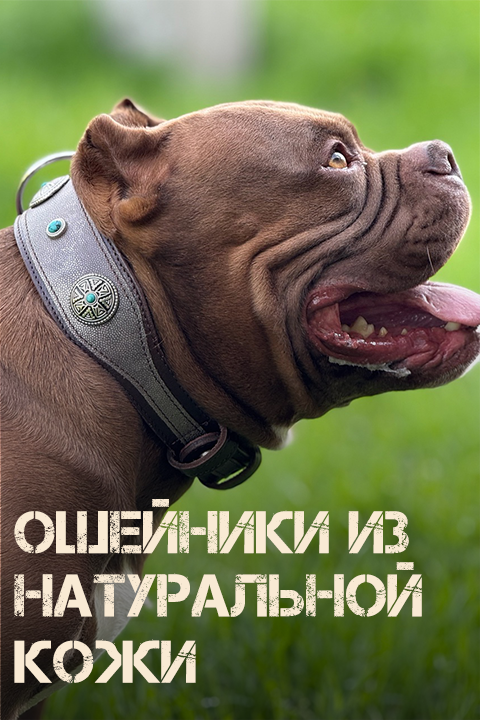 Элитные ошейники для собак Collar-Lux