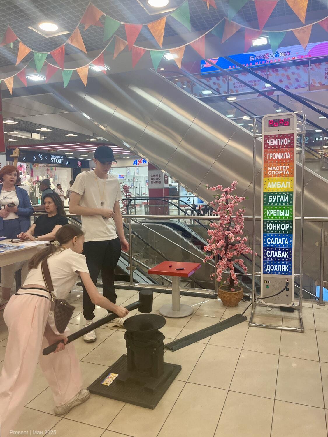 прокат силомера «Молотобоец»