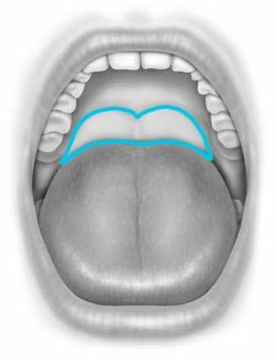 Поза льва от храпа
