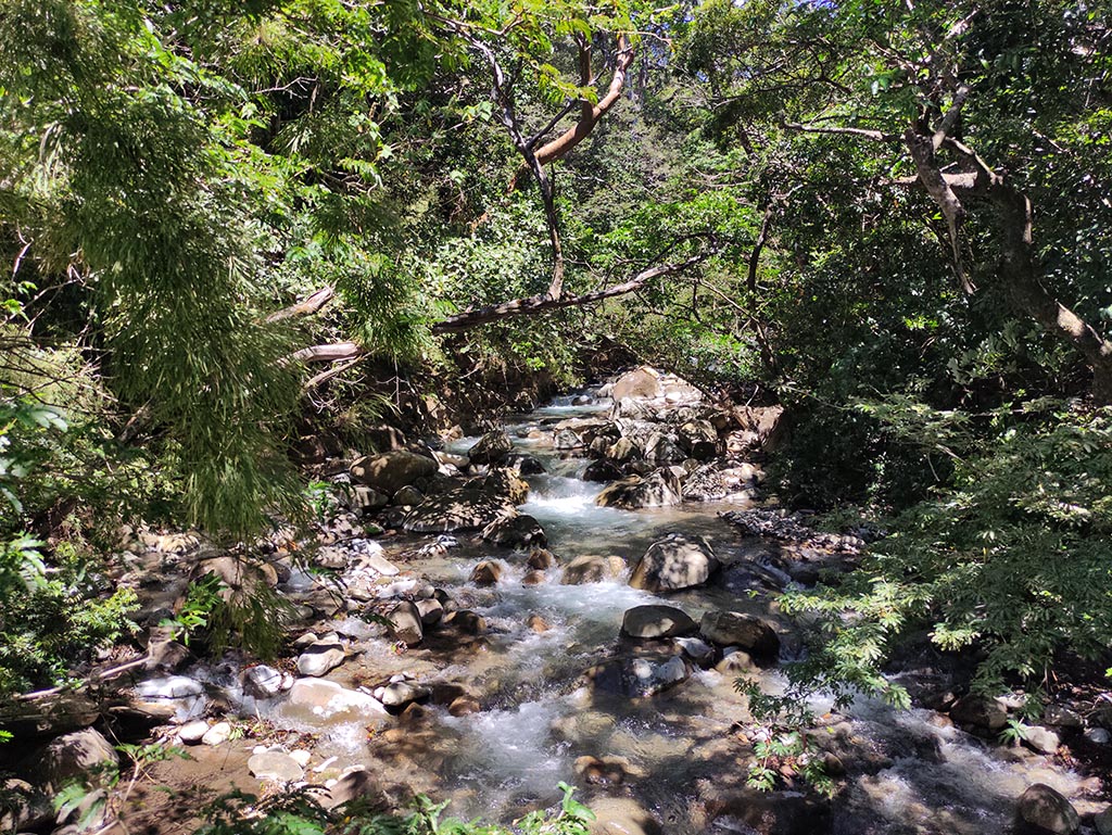 Rocky stream surrounded by forest in the Rincon de la Vieja area