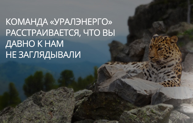 Команда АВС.экспресс расстраивается, что Вы давно к нам не заглядывали