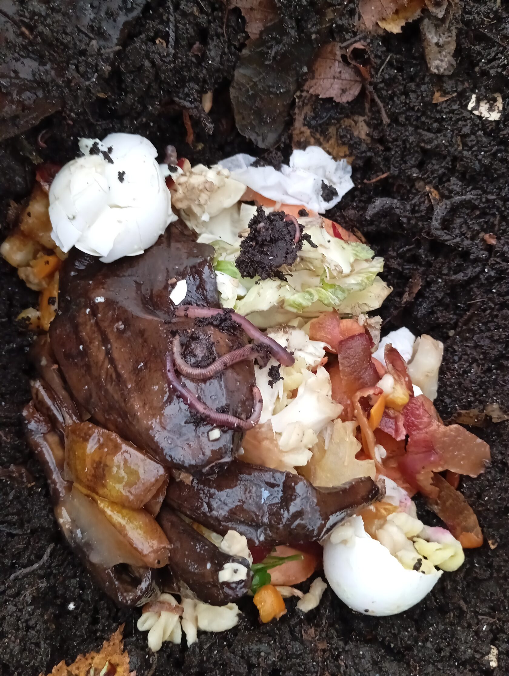 Процесс переработки органических отходов