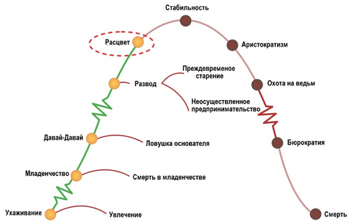 Каким номером на рисунке обозначена стадия жизненного цикла которая появляется при прорастании споры