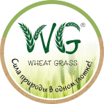 Витграсс по-домашнему