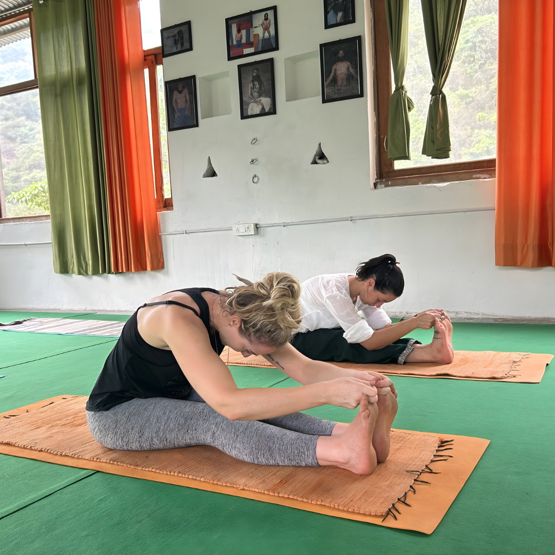 students in seated forward fold