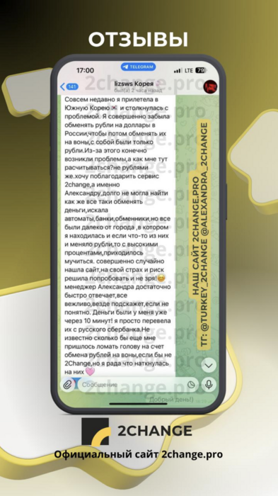 Скриншот переписки — lizsws