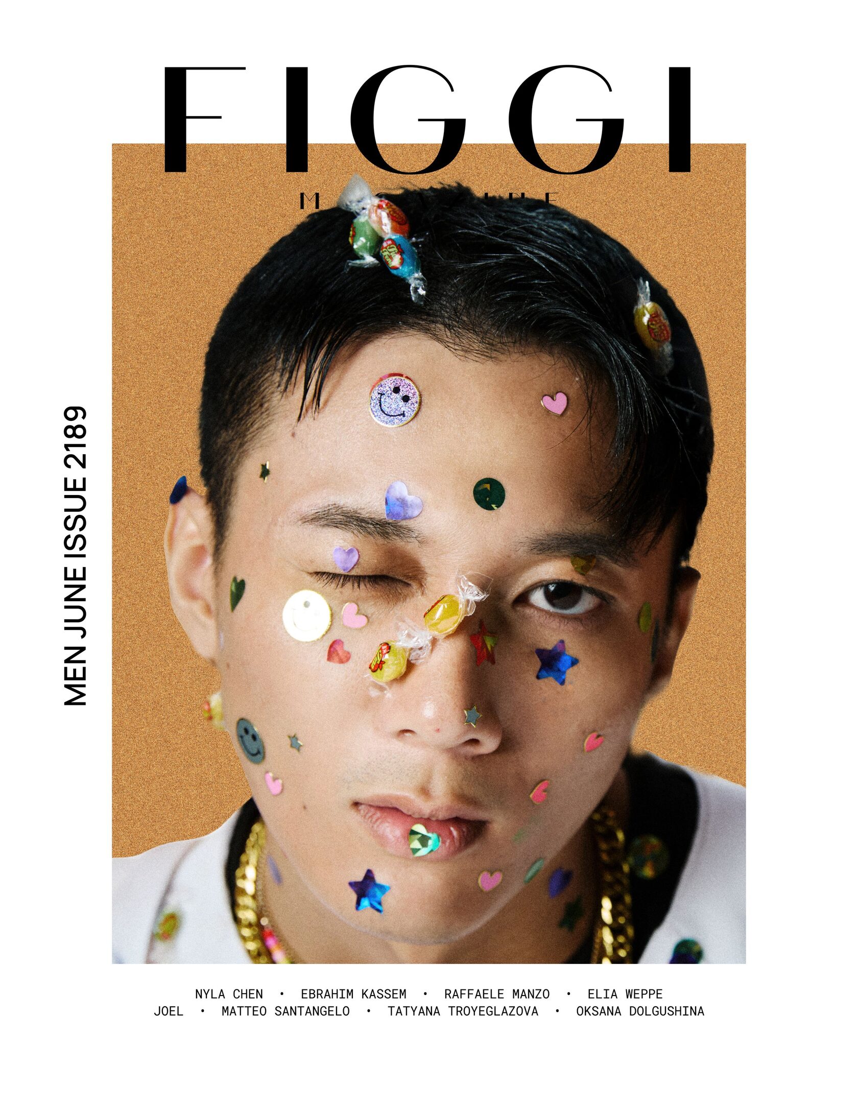 Figgi cover, Vol. 11