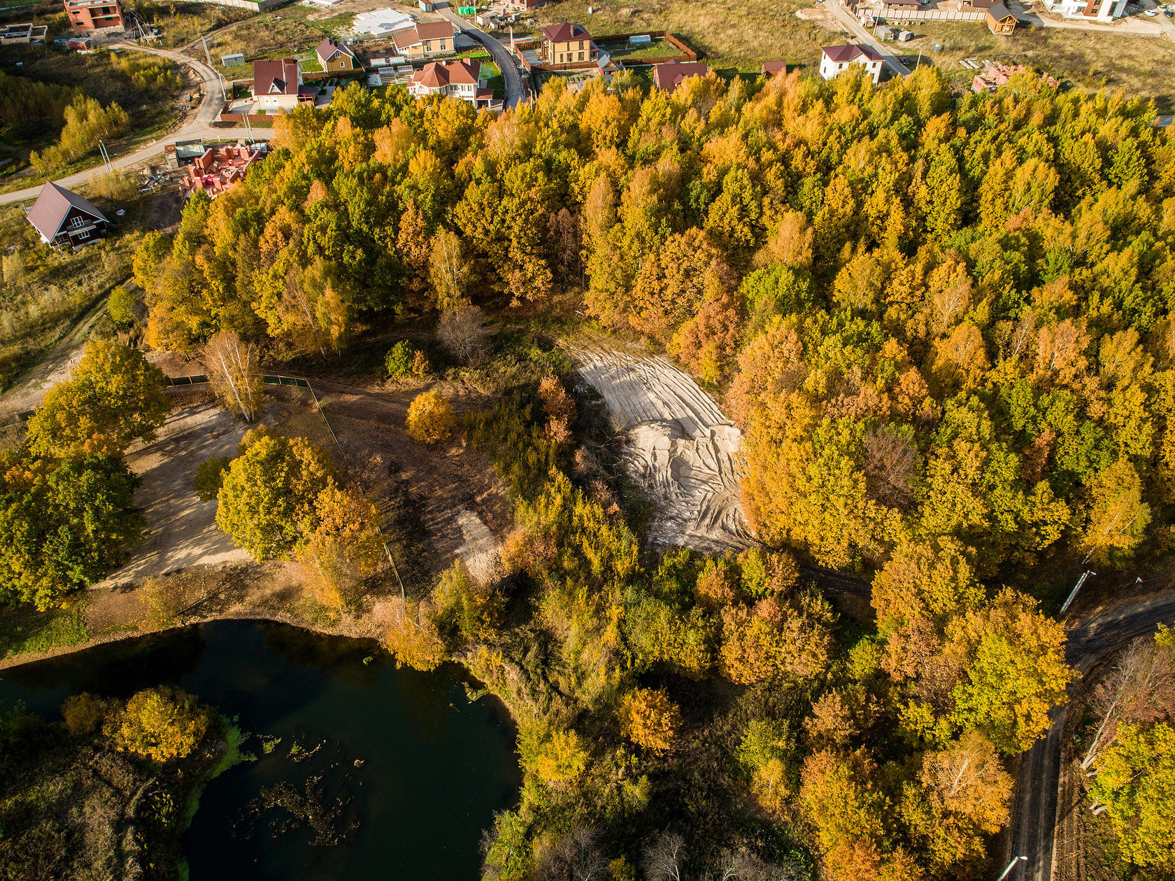 Земляничное поле фото