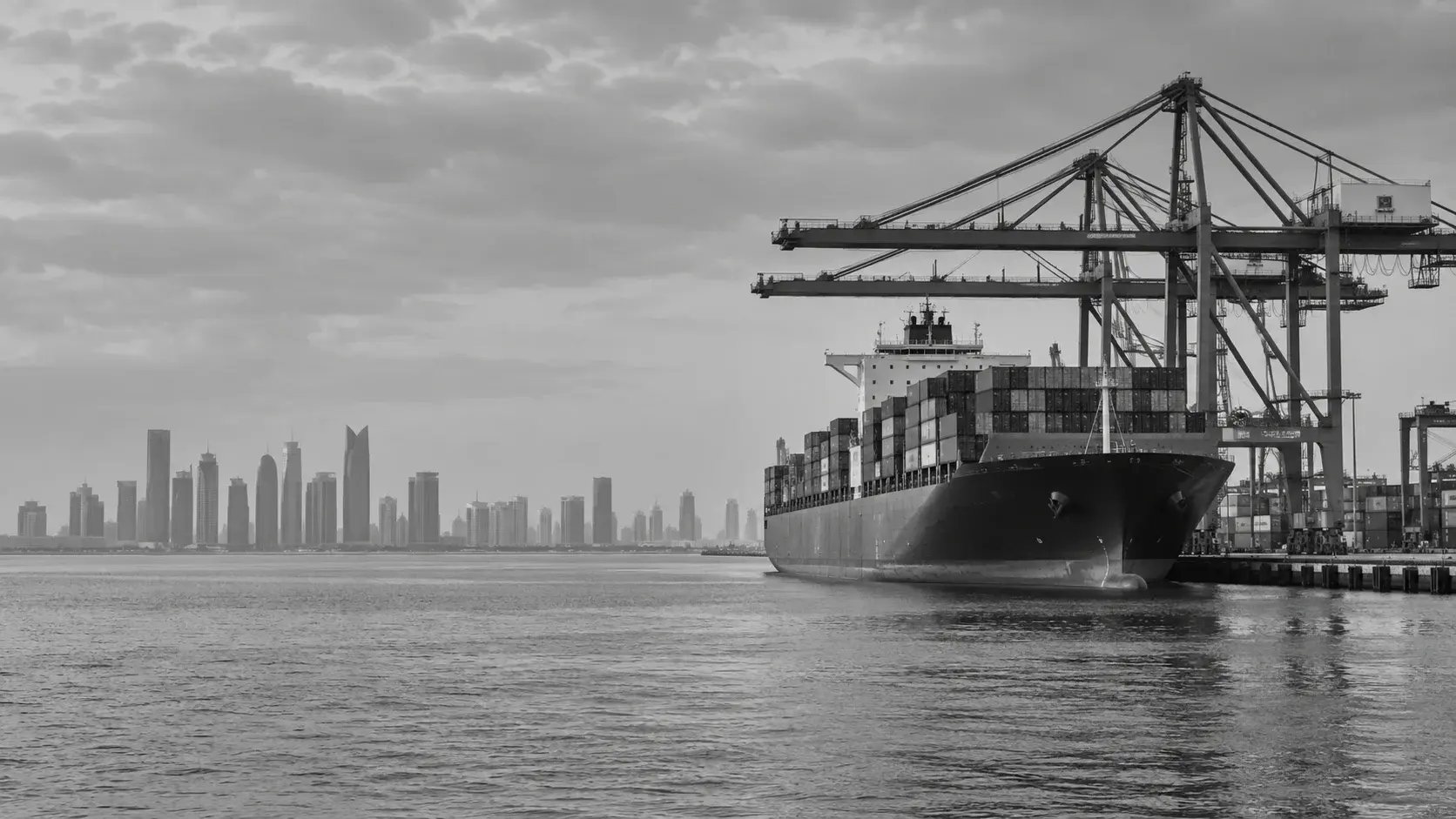 Container ship and port cranes at a commercial Gulf harbour