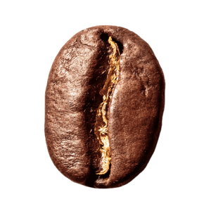website icon