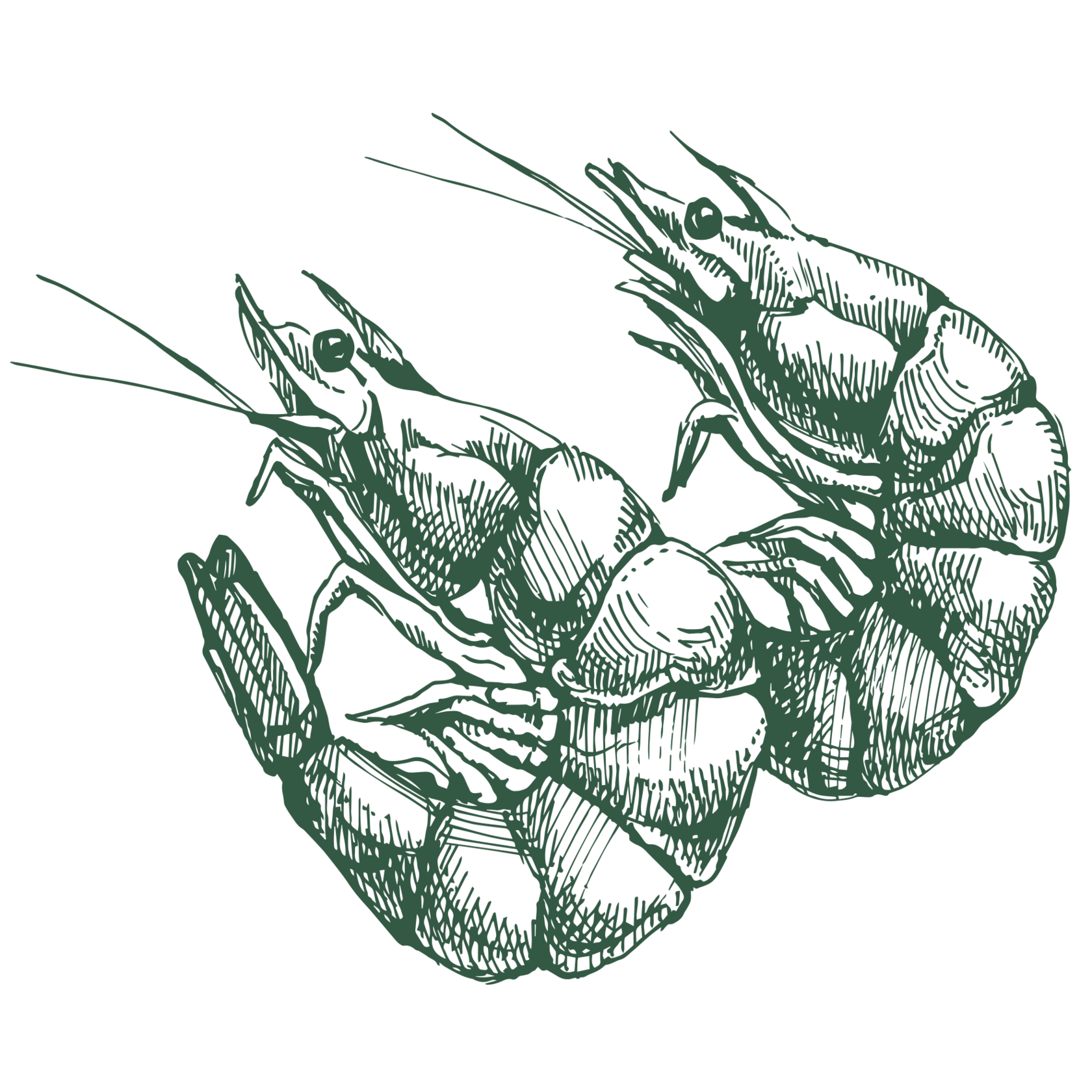 блюда из мяса рецепты, пп ужин рецепты, рецепты белковых блюд, пп рецепты рыбы, мясо пп рецепты, рецепты белковых блюд для похудения, рецепты волкова, диета волкова