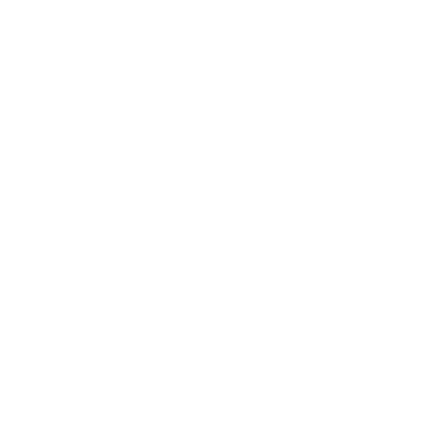 Erickson Professional Coach