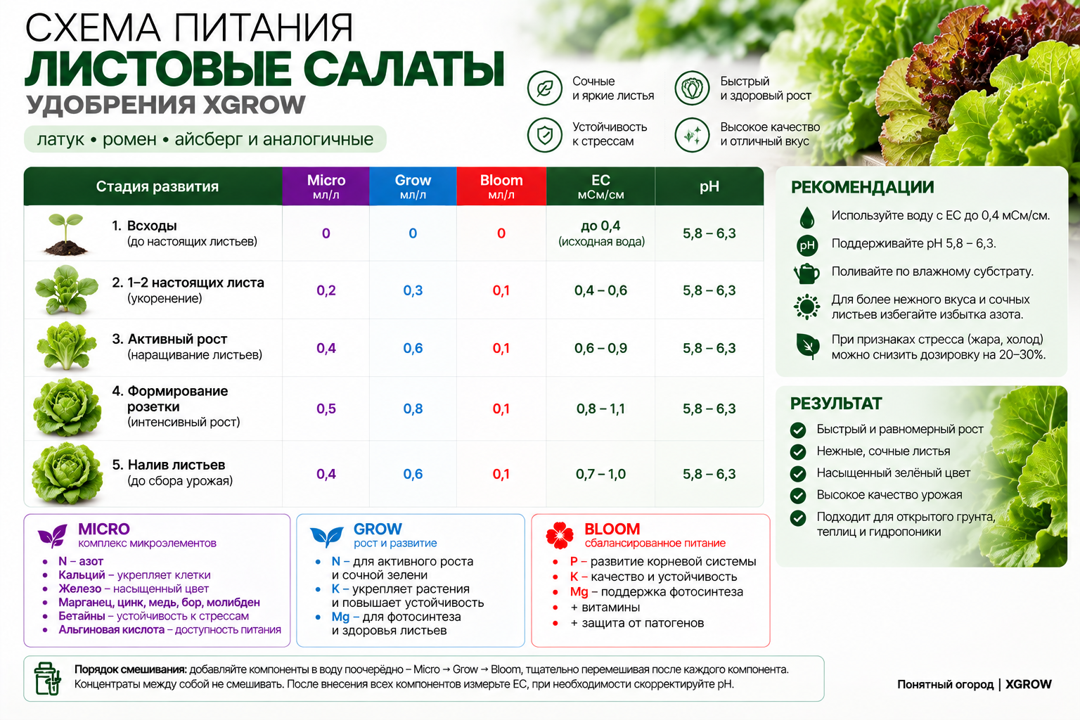 Схема питания листовых салатов