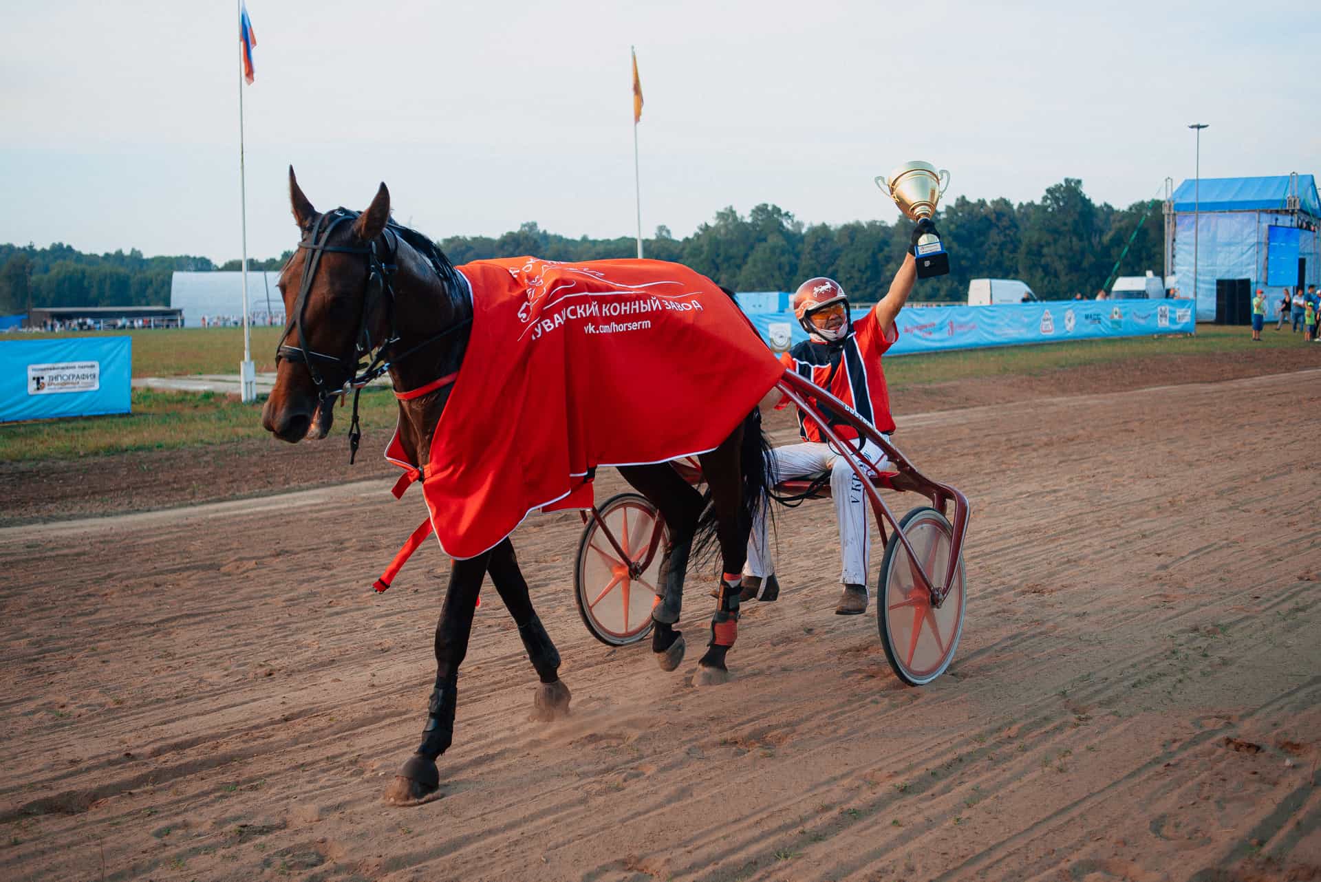 Конные бега. Конные бега чебоксары 2024. Конные бега 2024 программа. Беговая лошадь. В.