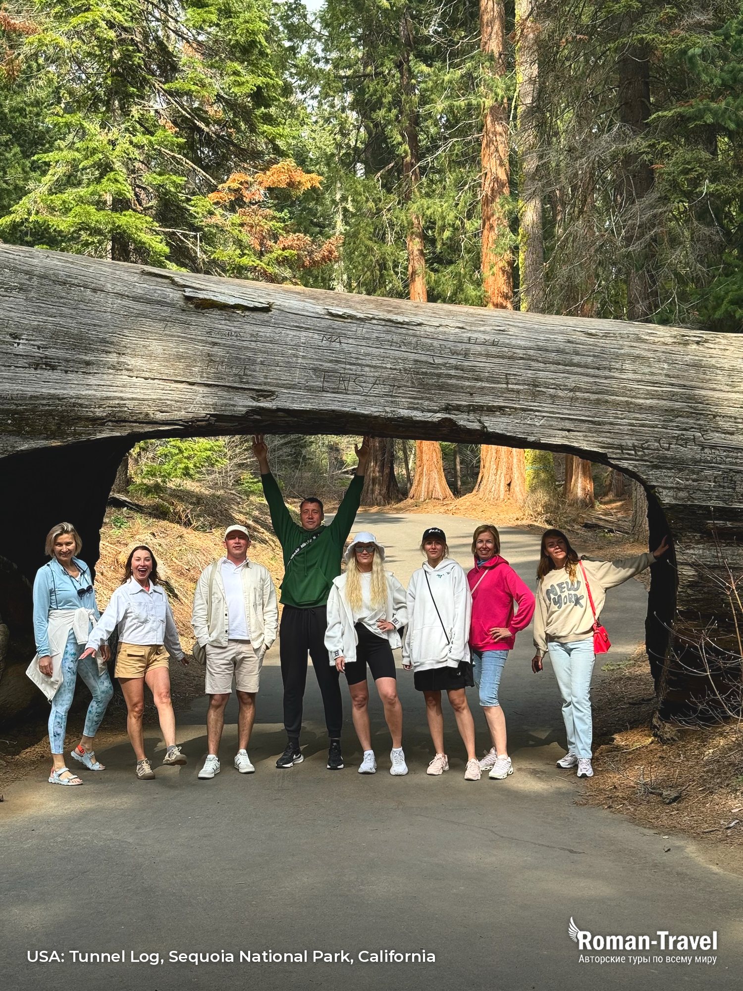 usa-tunnel-log-sequoia-national-park-california