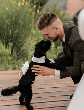 Neponaroshky-wedding-svadba-krym