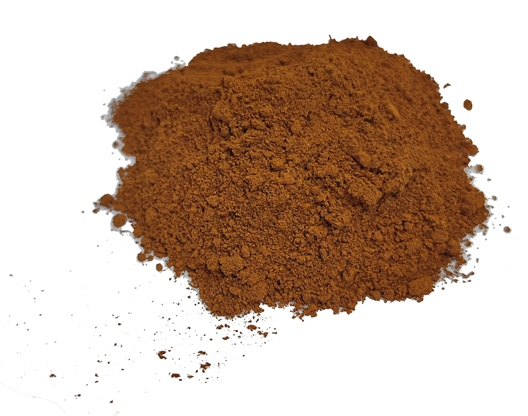 Купить гриб шиитаке в интернет-магазине Грибной воин по выгодной цене