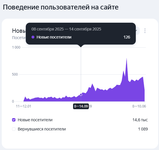Скриншот динамики трафика и продаж