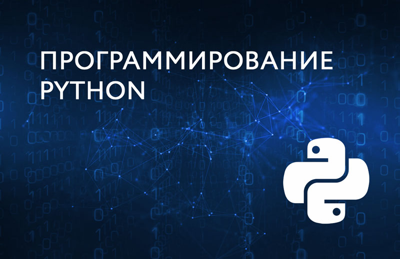 Питон программирование. Курсы программирования на питон. Язык питон программирования для начинающих с нуля. Питон основы программирования. Программист питон.