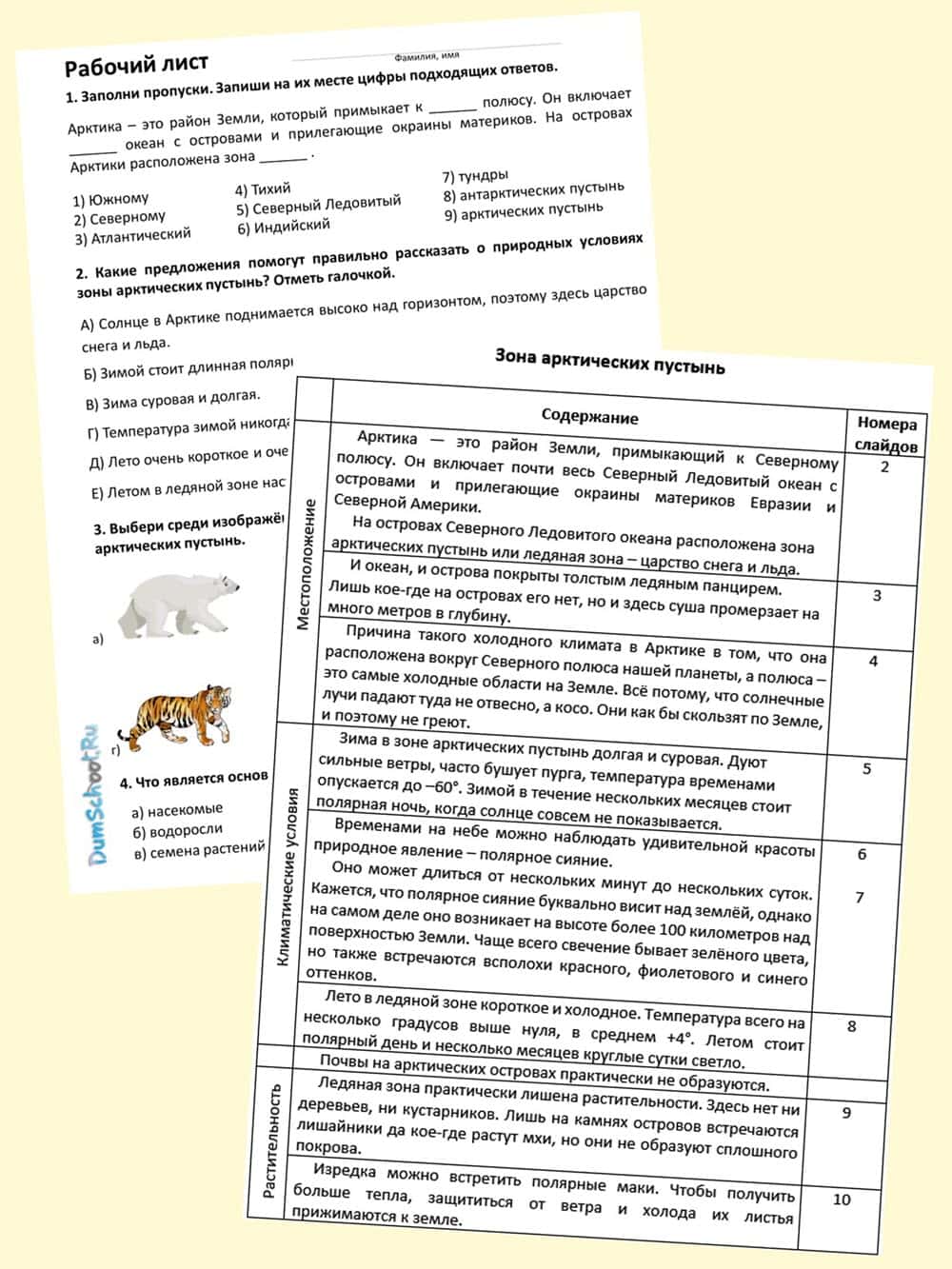 Рабочий лист Зона арктических пустынь и презентация по теме