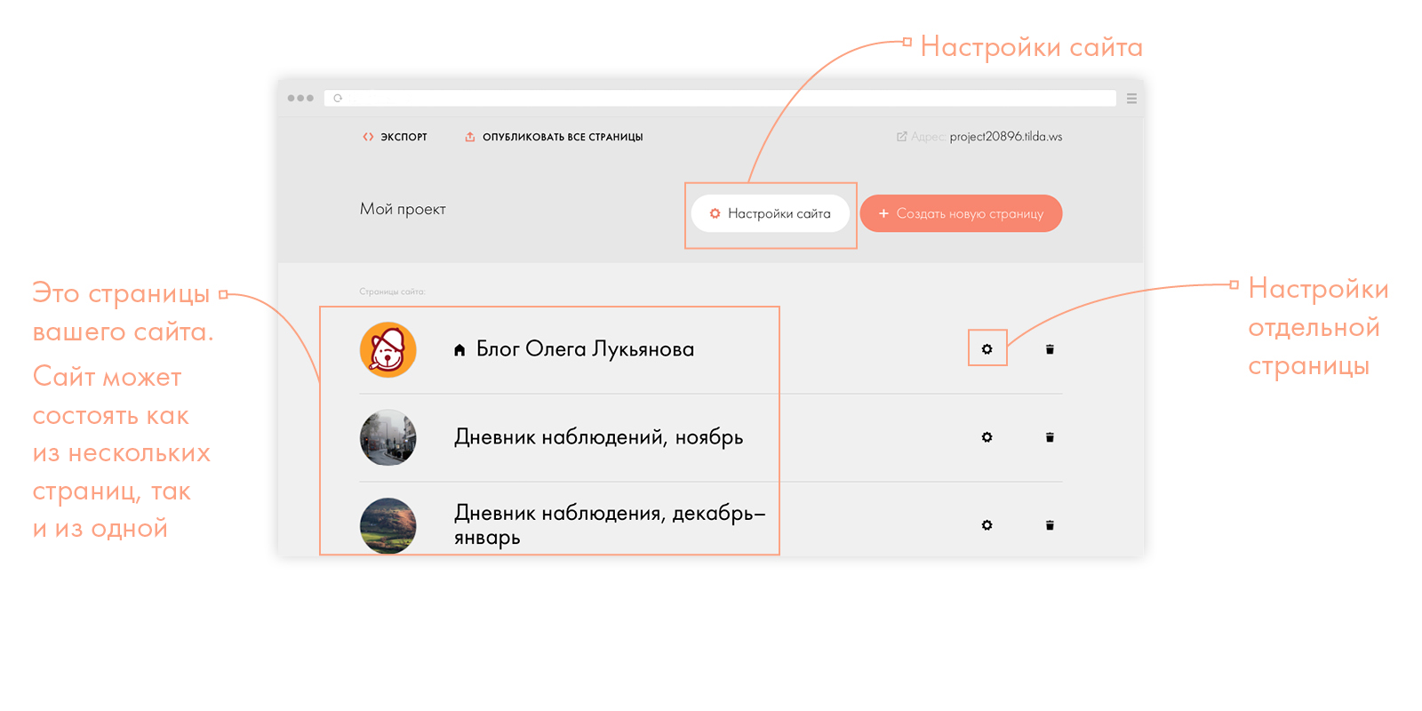 Настрой страницу. Разработка сайтов на Тильде. Чек лист для создания сайта на Тильде. Как опубликовать сайт на Тильде. Тильда опубликовать страницу.