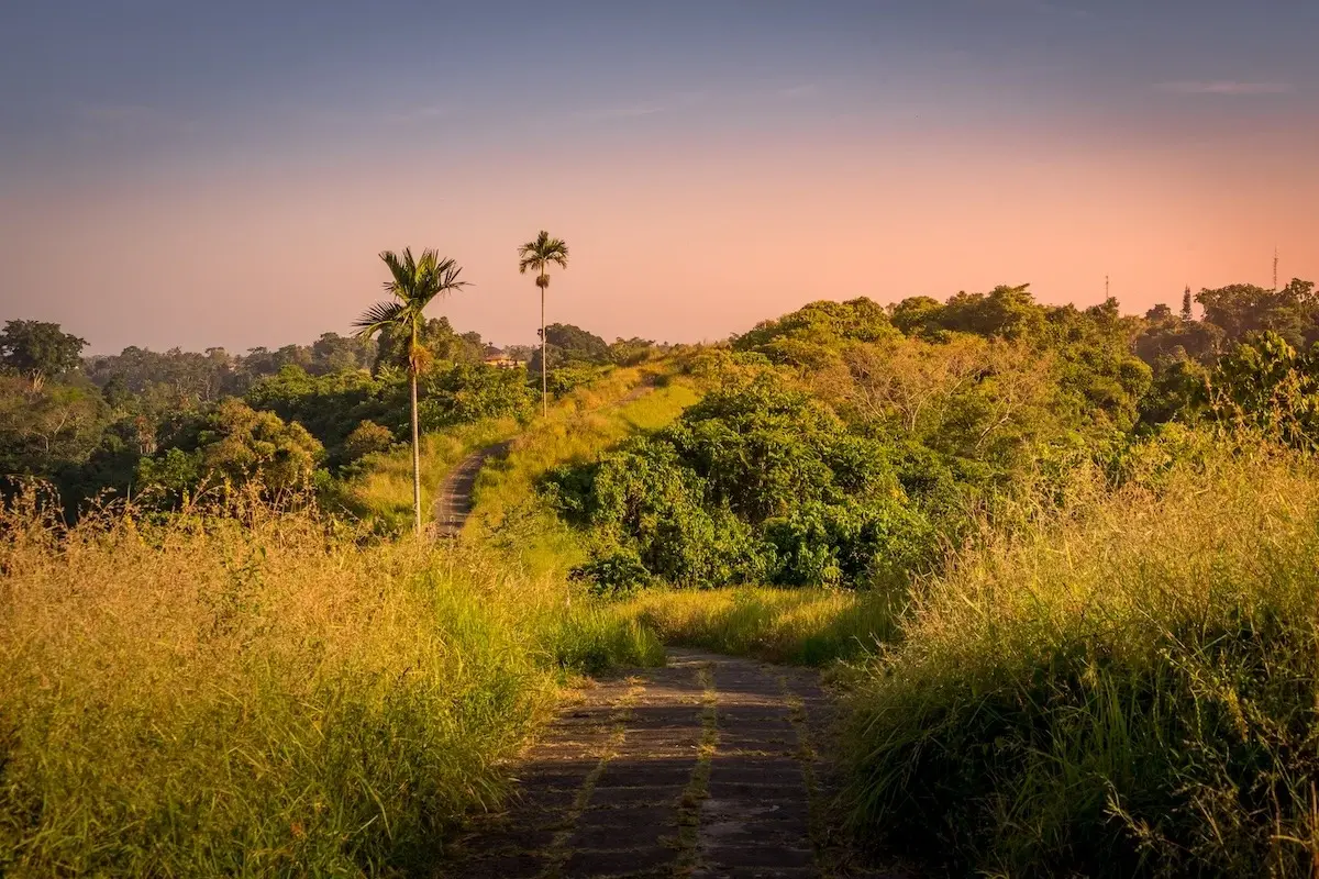 A breathtaking golden sunset view at Campuhan Ridge Walk, an essential first step before exploring what to do in Ubud at night.