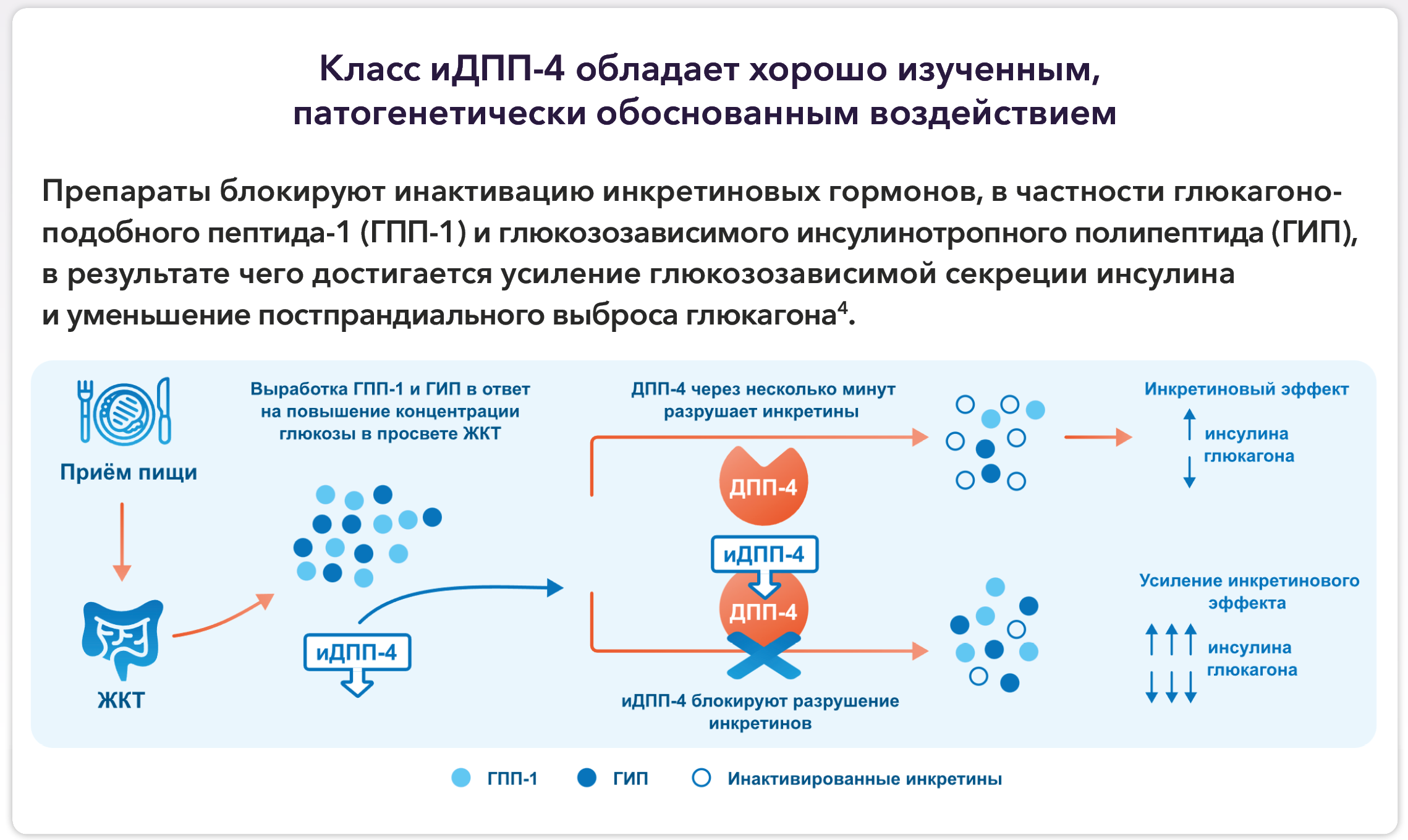 Описание изображения