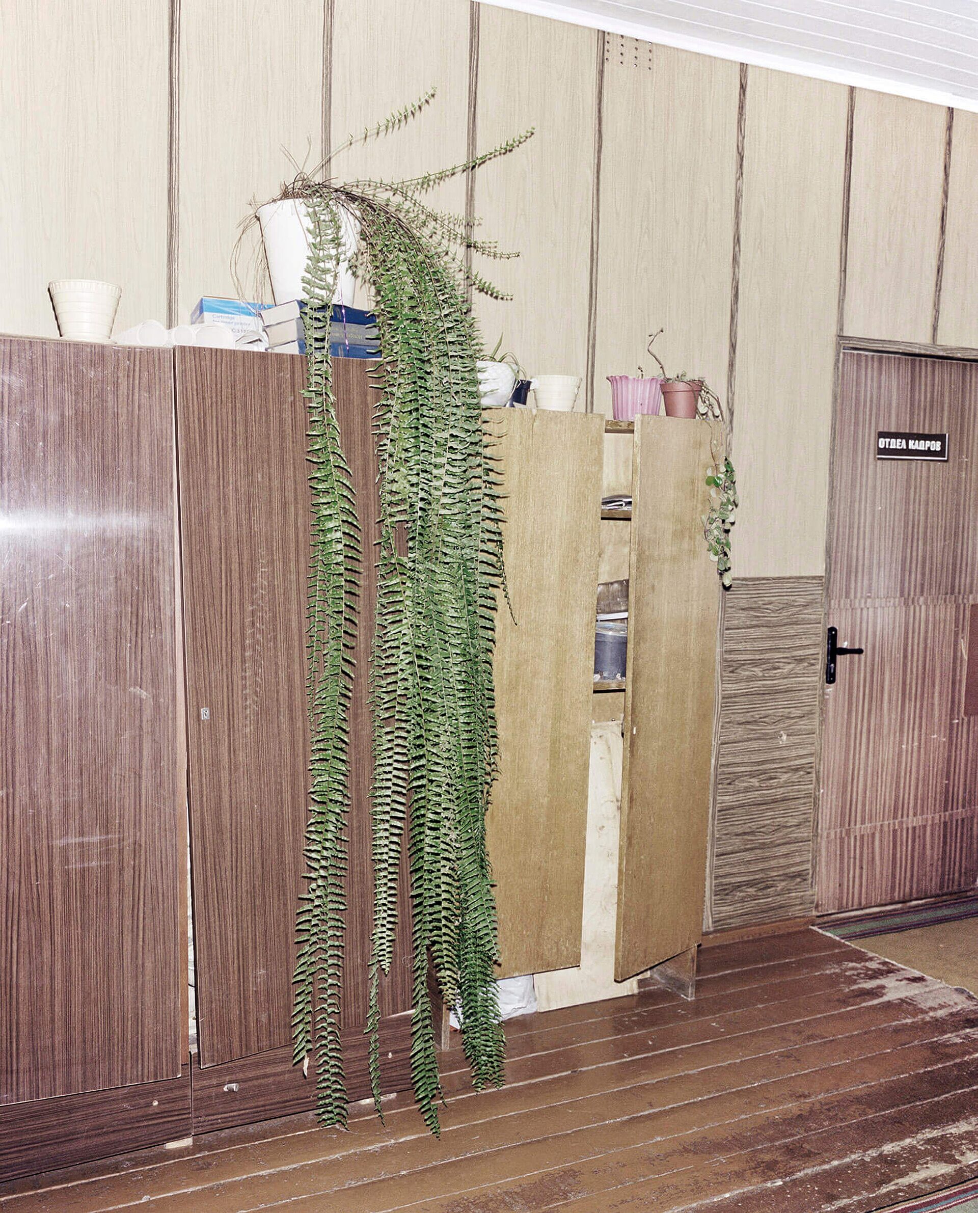 Рафал Милах: Победители |Rafal Milach: Winners