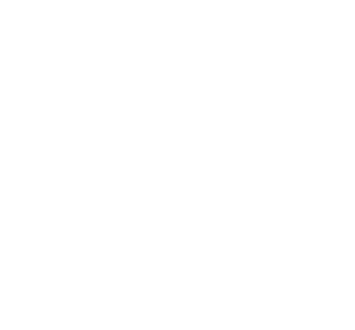 СтАР, партнер NNG