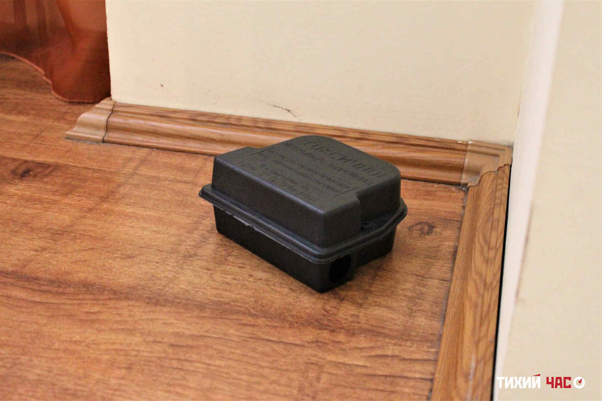 как выбрать приманочный контейнер