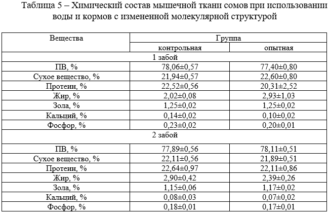 Химический состав мышечной ткани сомов при использовании воды и кормов с измененной молекулярной структурой