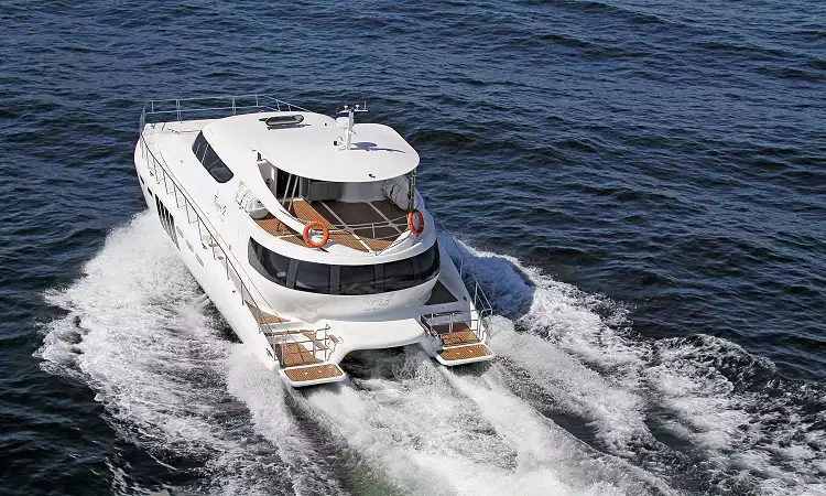 TIGGER CATAMARAN до 60 чел #7