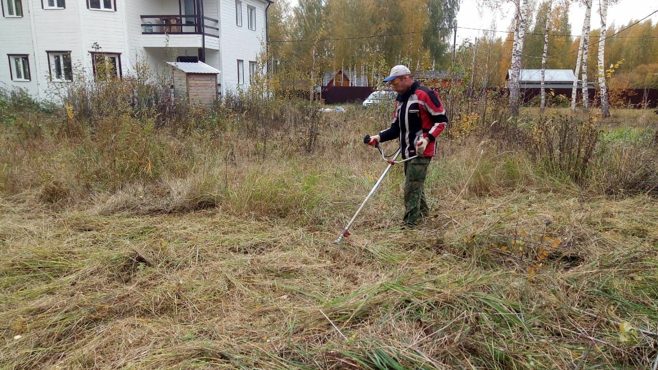 Скосить траву на участке, цена за сотку, стоимость покоса травы в  московской области