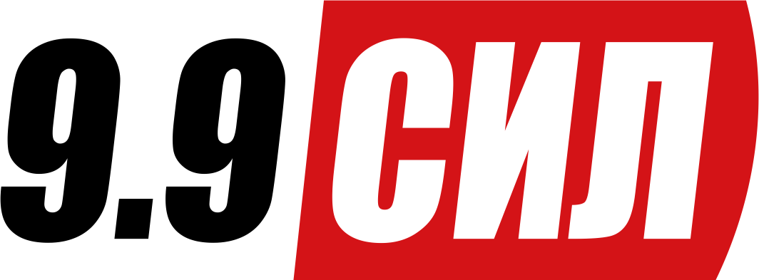 9.9 СИЛ лого