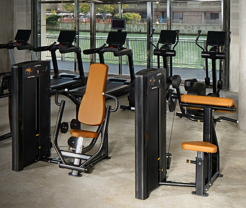 Life Fitness Hammer Strength