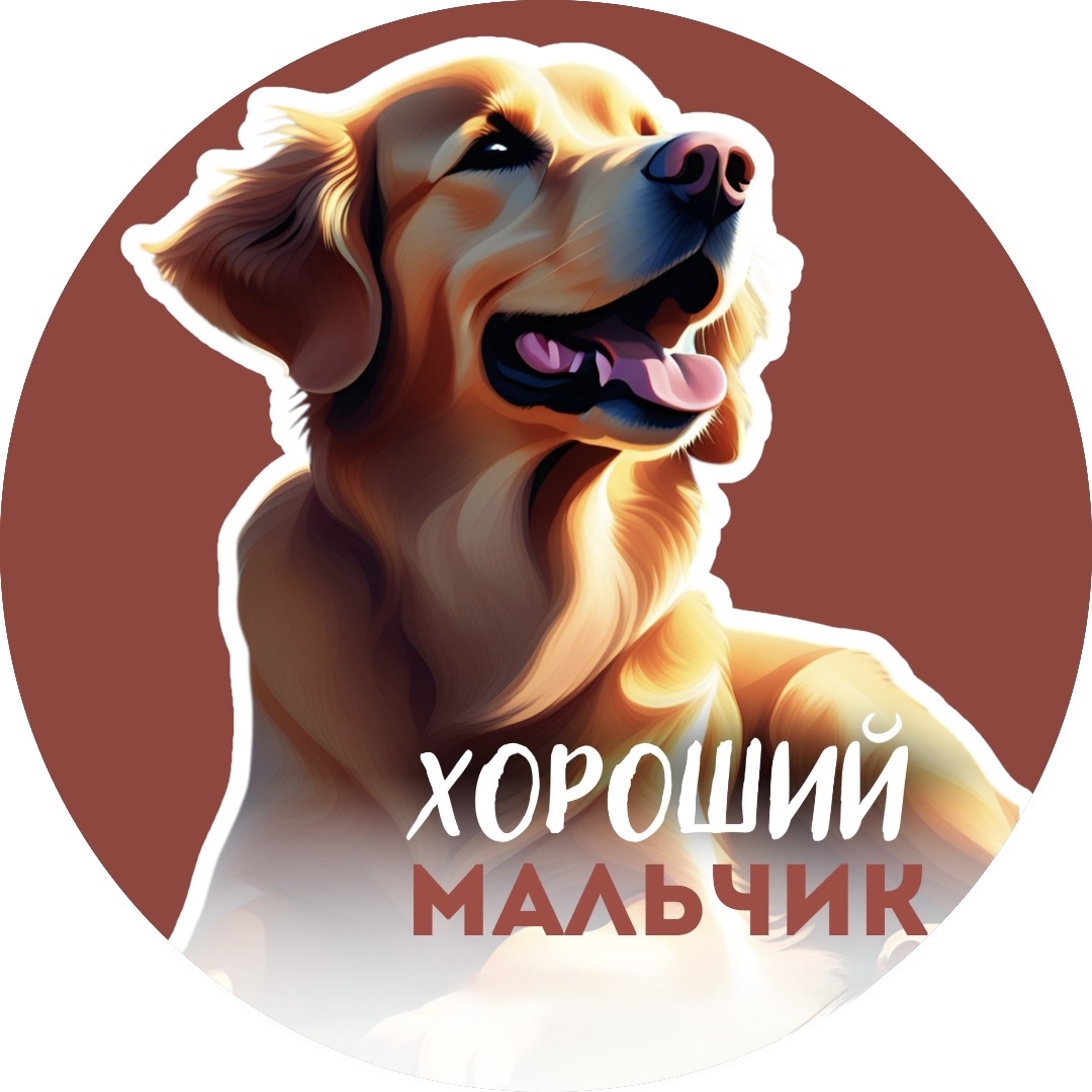 Зоогостиница «Хороший Мальчик»