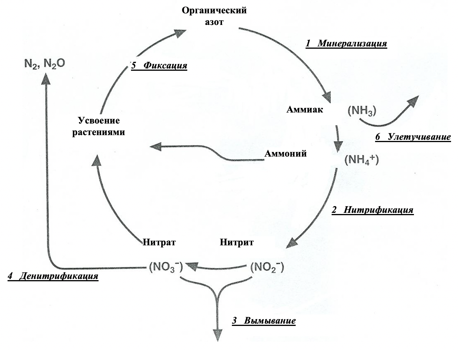 Все об аммиаке