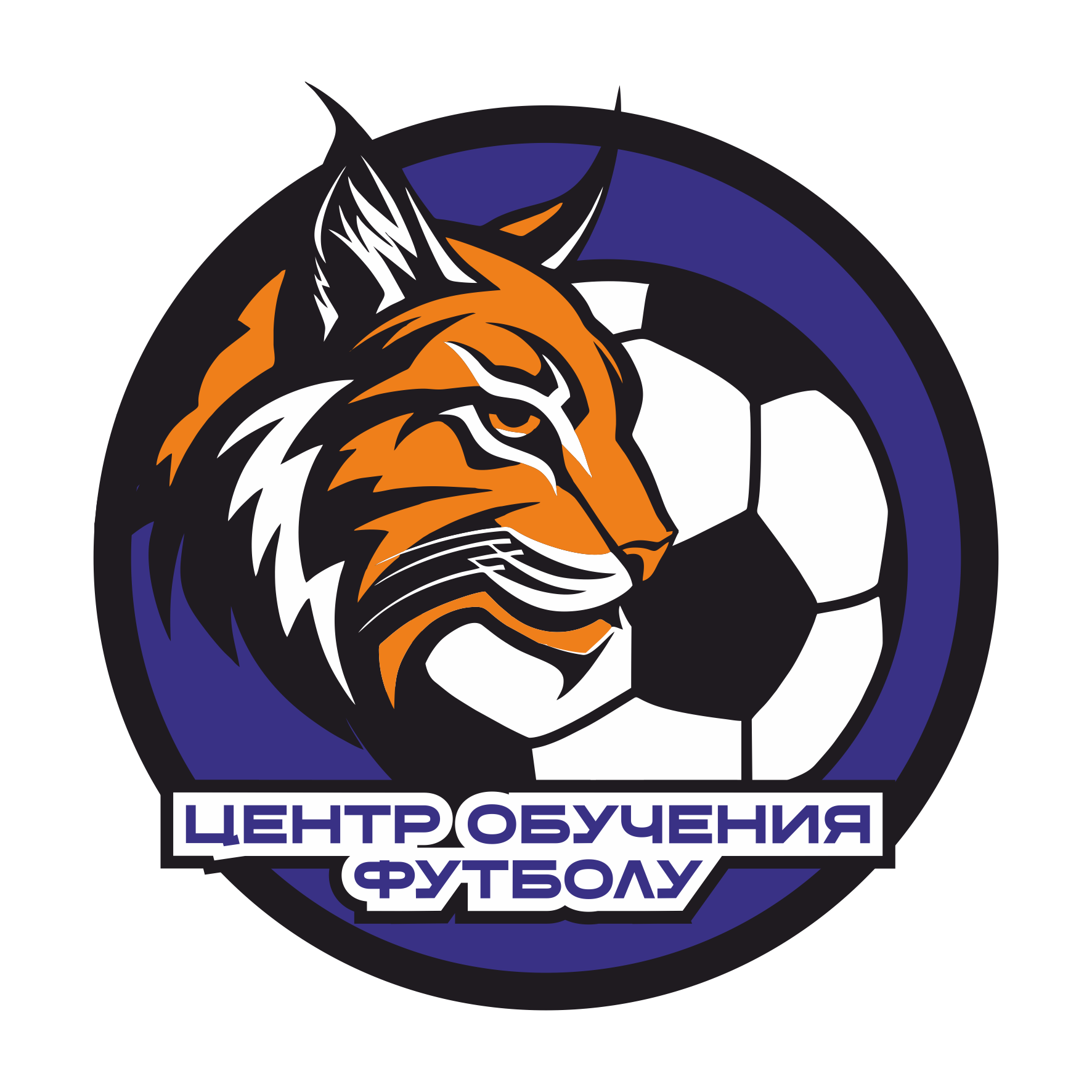 Центр обучения футболу