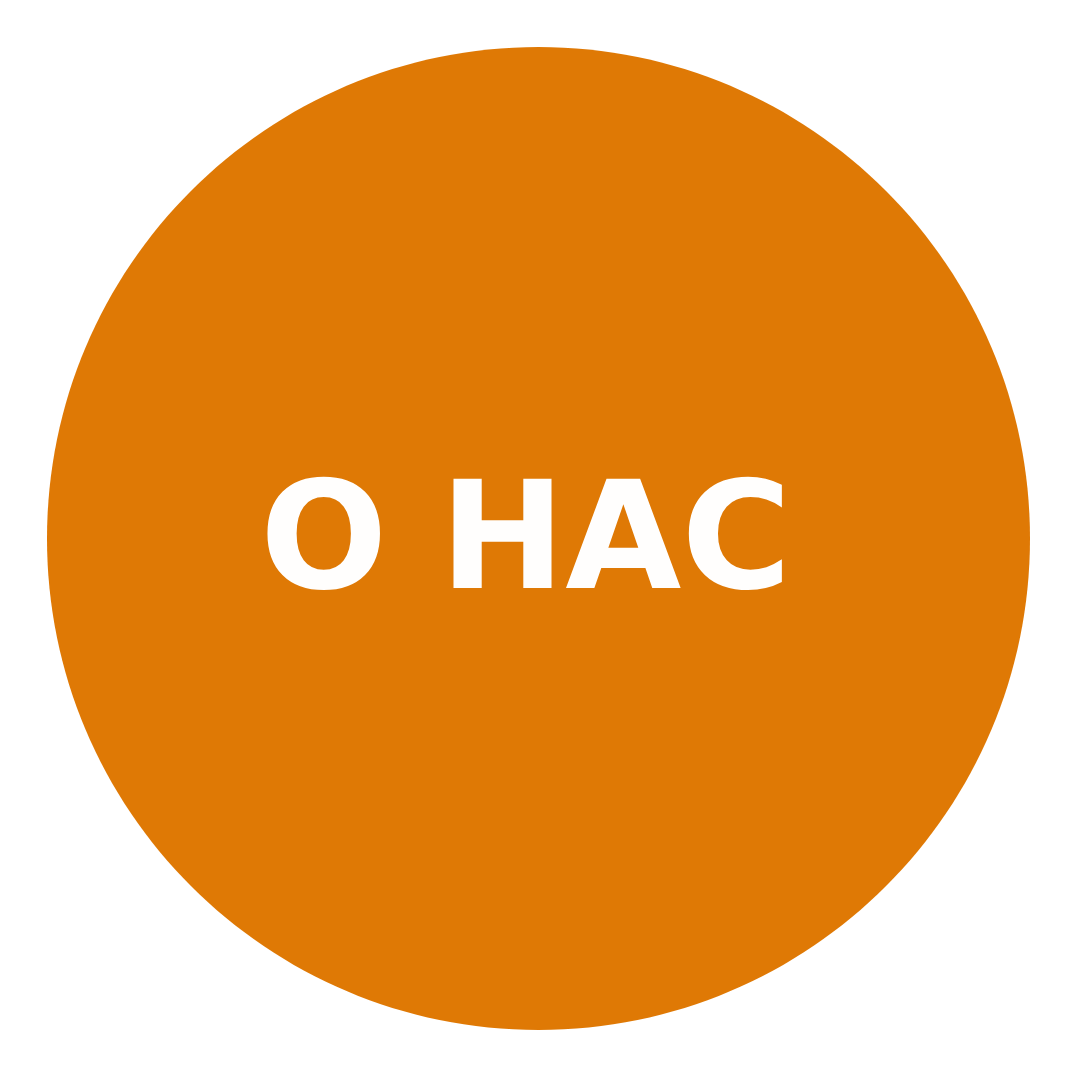 Наша команда