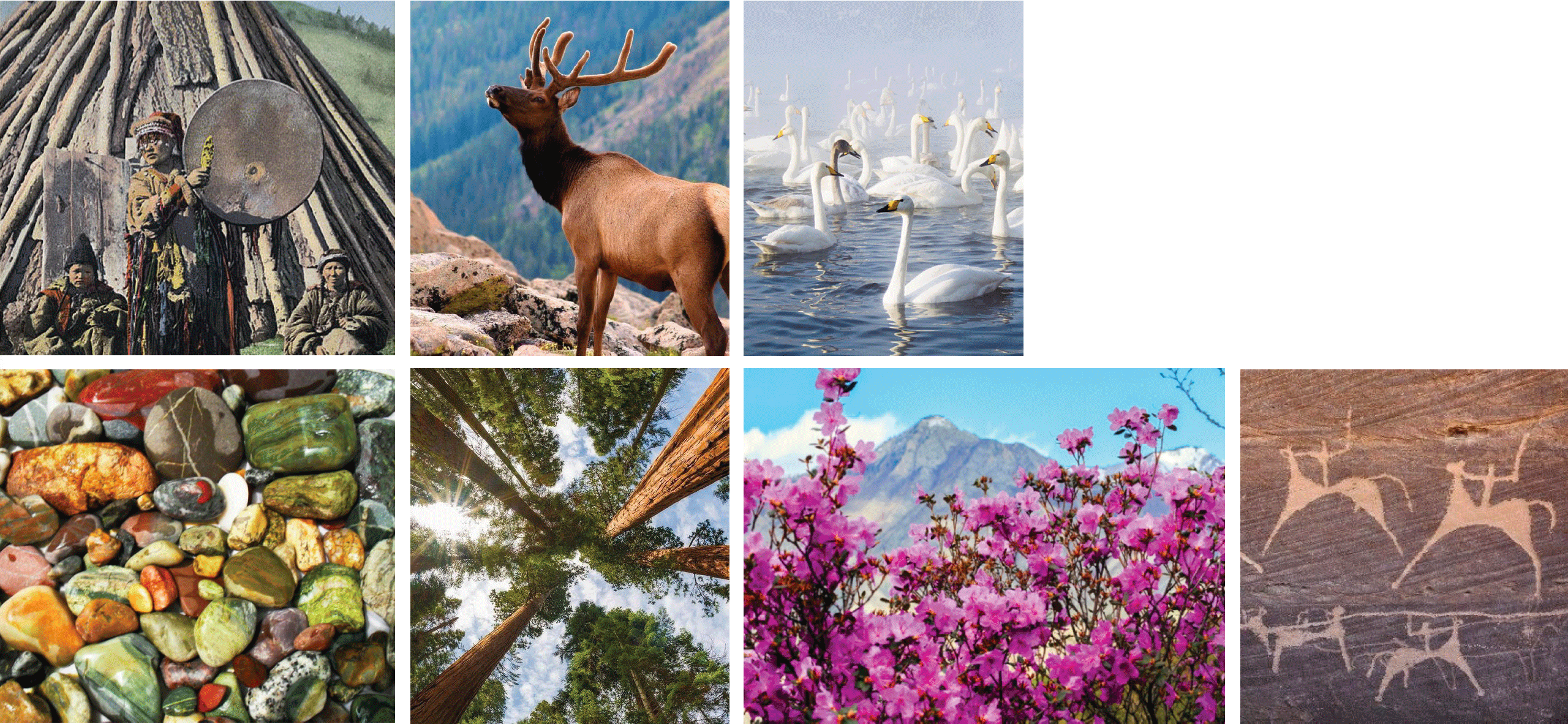 Values of the peoples of Altai. Analysis