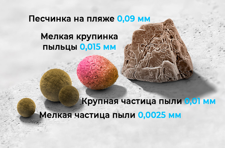 Сетки антипыль и антипыльца: как работают и насколько эффективны