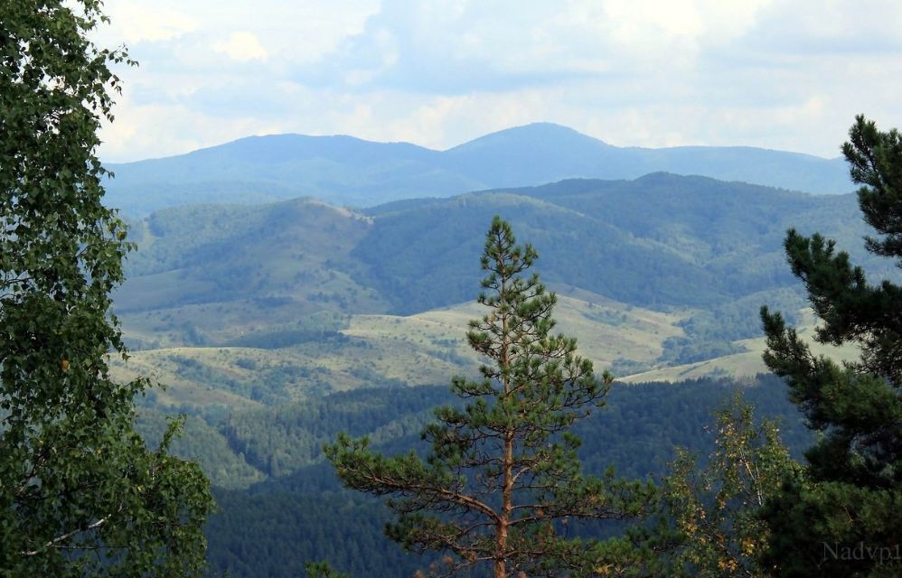 Путешествие по Алтаю 