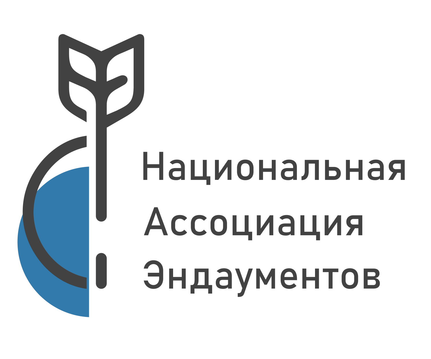 Национальная ассоциация. Национальная Ассоциация эндаументов. Премия вечный вклад Национальная Ассоциация эндаументов. Фонд целевого капитала логотип. Логотип эндаумент фонда.