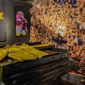 Тур в ЮАР - Южно-африканские пингвины