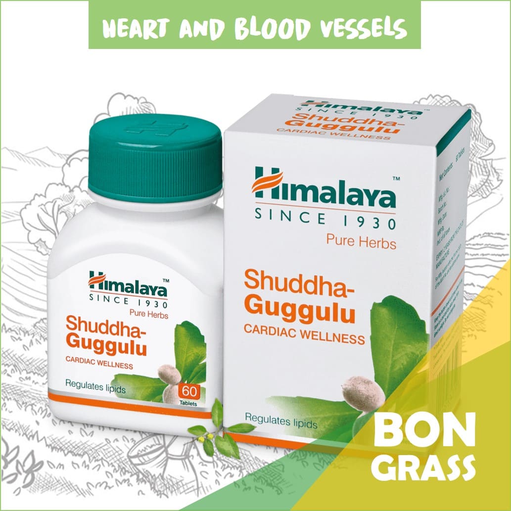 Холестерин цена. Shuddha Guggulu Himalaya. Shuddha Guggulu Himalaya валберис. Himalaya таблетки. БАДЫ для снижения холестерина.