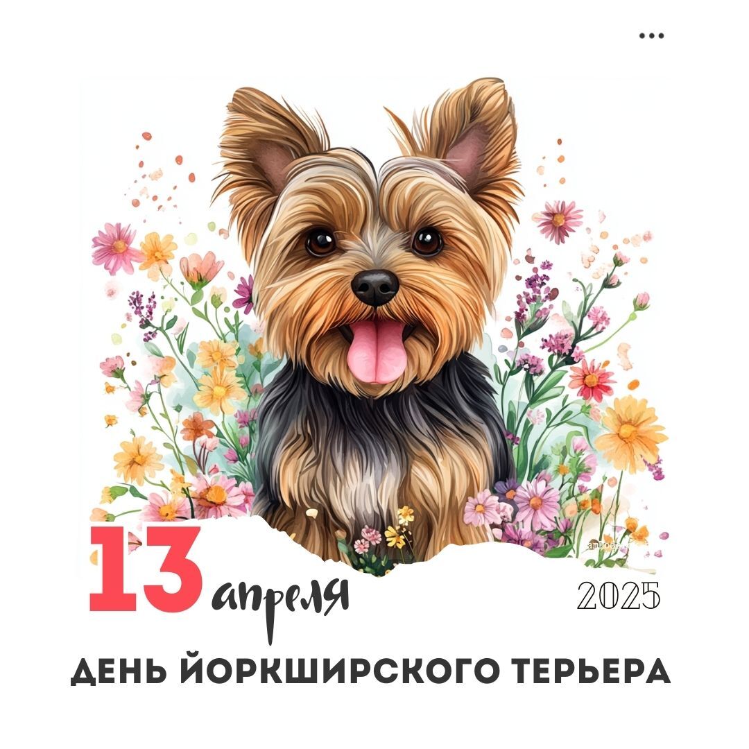 13 апреля – День йоркширского терьера