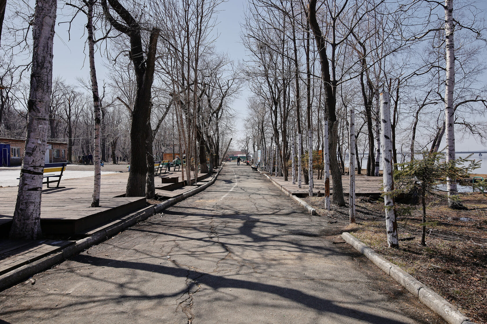 Имени лазо. Парк в городе. Парк сквер. Парк на Санаторной Владивосток. Владивосток 2022 реконструкция парк им Лазо.